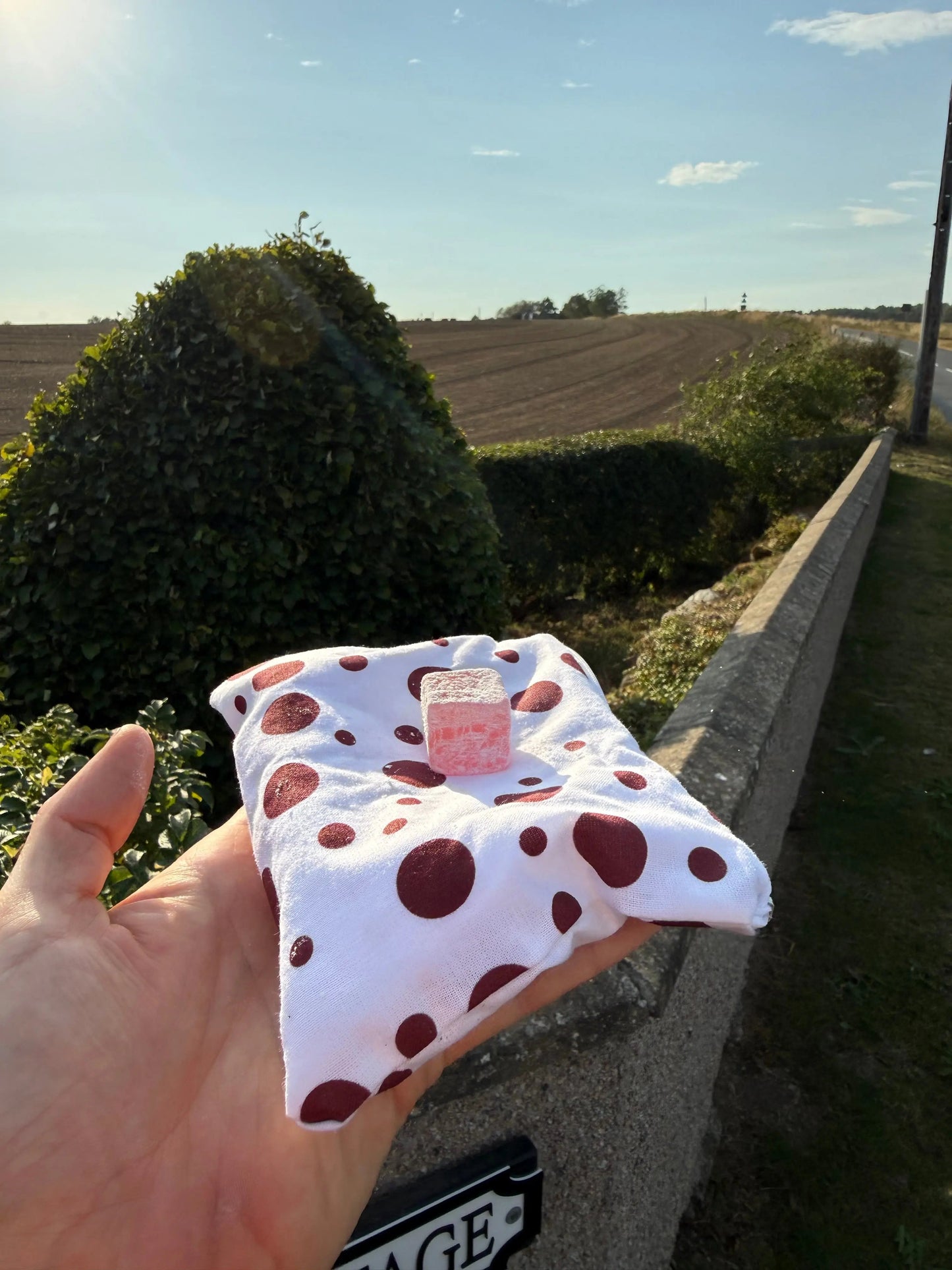 XL Hand stitched FTP Reusable Waterproof Snack Pouch - Sustainable Packaging for Running/Cycling Product vendor