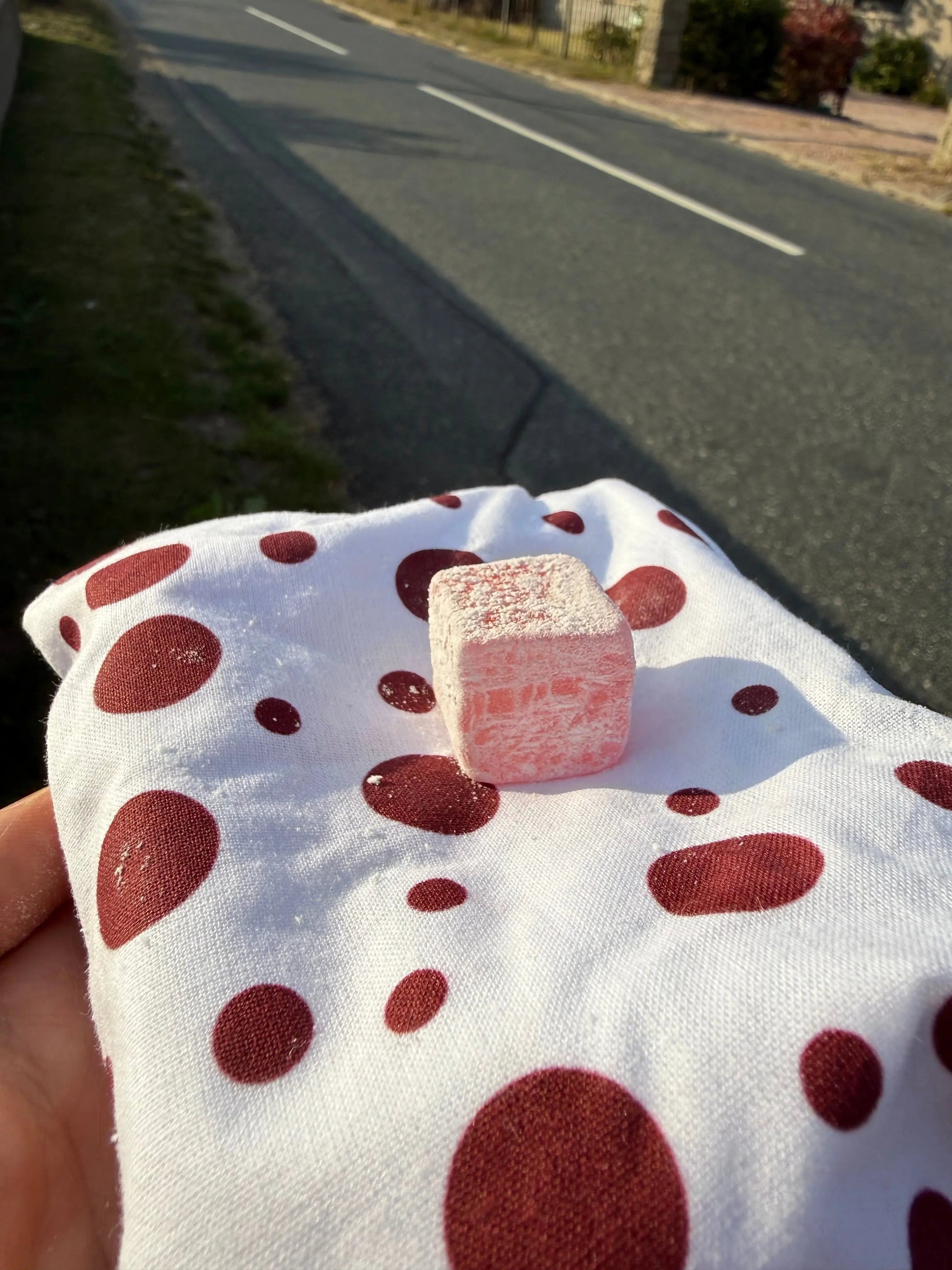 XL Hand stitched FTP Reusable Waterproof Snack Pouch - Sustainable Packaging for Running/Cycling Product vendor