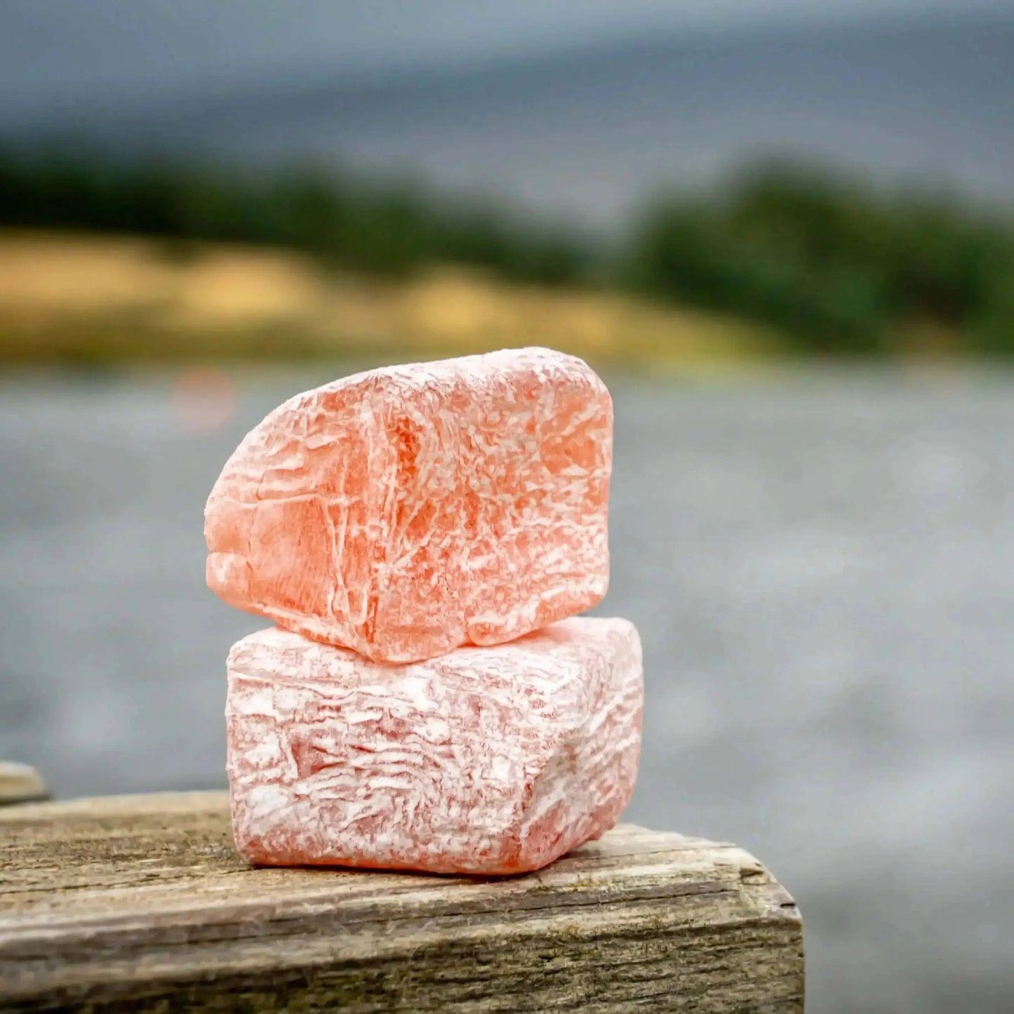 Tart Cherry Energy Pastilles Taster Pack - 60g Carb